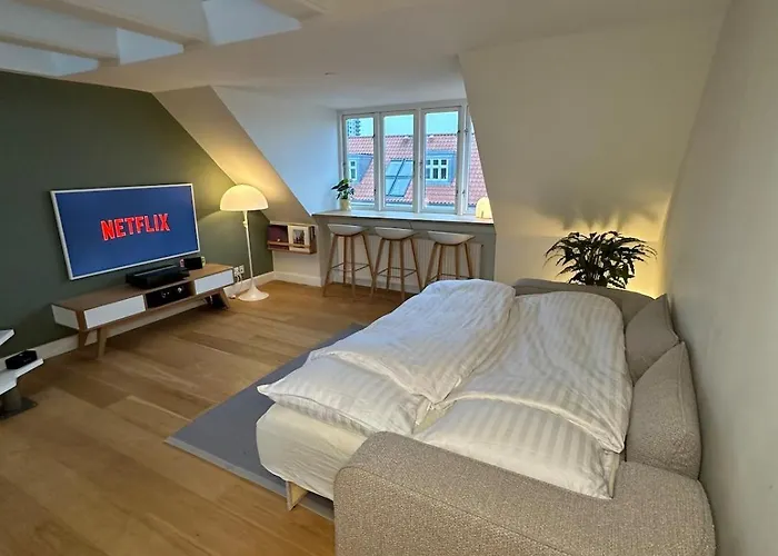 Rooftop By Aros With Balcony Århus